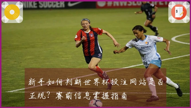 新手如何判断世界杯投注网站是否正规？赛前信息掌握指南