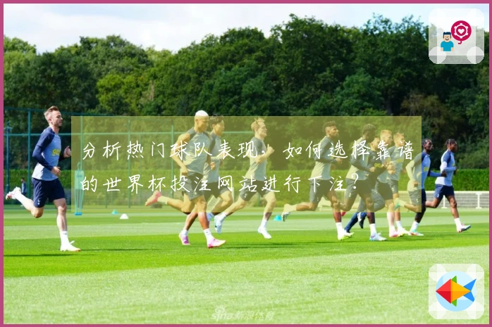分析热门球队表现，如何选择靠谱的世界杯投注网站进行下注？