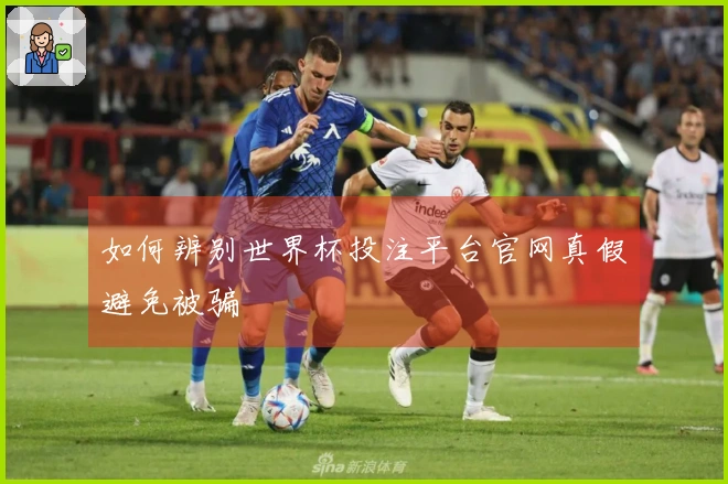 如何辨别世界杯投注平台官网真假避免被骗