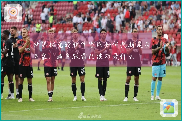 世界杯竞猜软件官网如何判断是否可靠，避免踩雷的技巧是什么