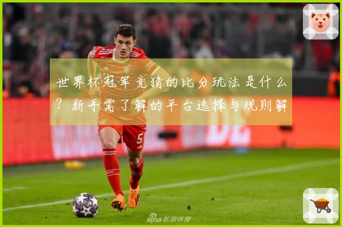 世界杯冠军竞猜的比分玩法是什么？新手需了解的平台选择与规则解析