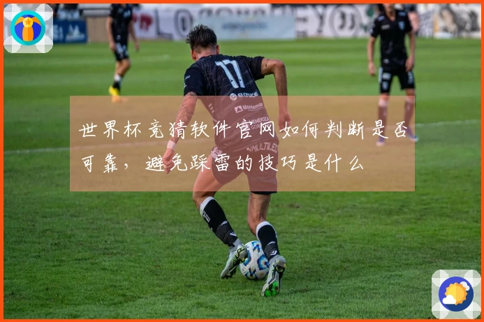 NG体育体育资讯图片