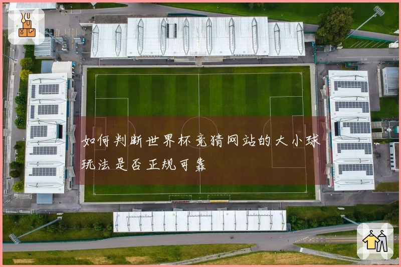 如何判断世界杯竞猜网站的大小球玩法是否正规可靠